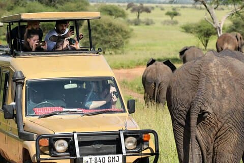 1 Day Tanzania Safari to Ngorongoro Crater