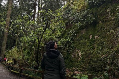 Tour a pie por el mar de Whytecliff Park