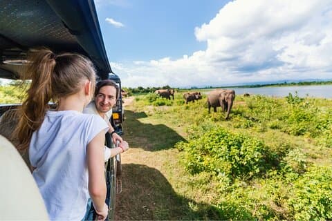 Udawalawe elefant safari: 3h Jeep Adventure (all inkludert)