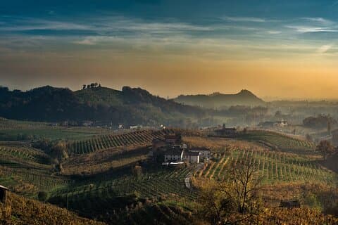 Tour de cata de vinos Prosecco