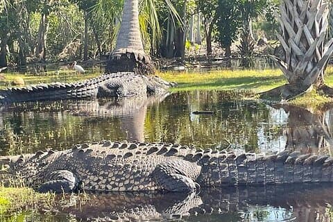 From Huatulco : Crocodile and Turtle Eco Tour