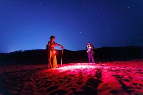 Huatulco : Night hike and monitoring of sea turtles