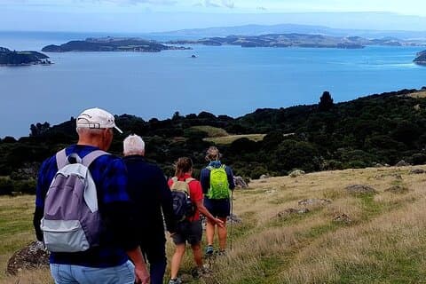 Waiheke Island 5 Tage Selbstgeführtes Wanderabenteuer