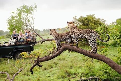 Sri Lanka : 5-tägige Wildtiertour mit Eintritts- und Abenteuergebühren