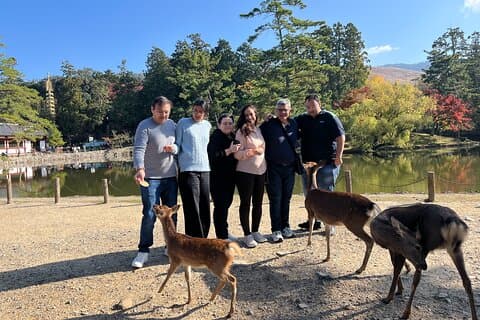 Private Japan UNESCO World Heritage Tour with Hiroshima