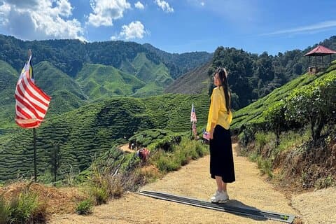Cameron Highland volledige dagtour vanuit KL City (privé)