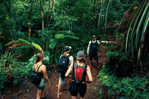Jaco Waterfall Tour