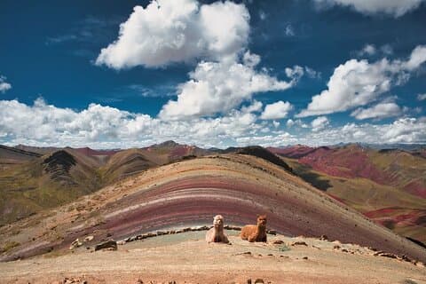 Palcoyo Mountain Day Tour from Cusco with Lunch Included