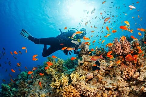 Phu Quoc Dream Sunset Cruise und Küstenflucht
