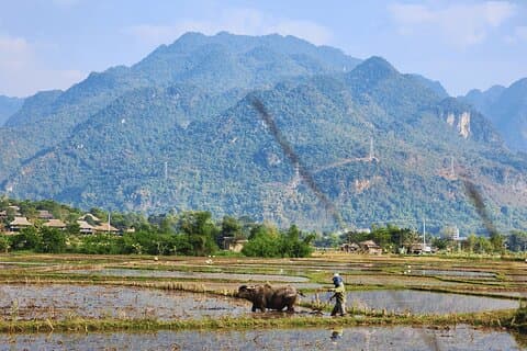 Full-Day Cycling & Handcraft Workshop in Mai Chau Valley