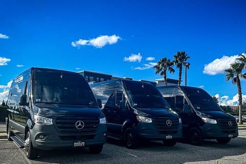 Private service, Airport, Hotels to Port Canaveral terminals.