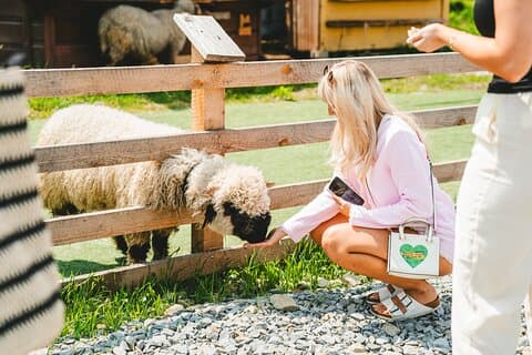 Krakau : Private Zakopane Tour mit Gubałówka und Thermalbädern
