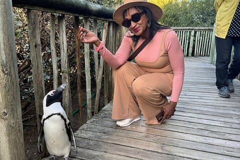 テーブルマウンテン、ペンギン、ケープポイントへの事前予約チケット