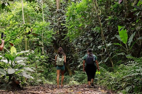 Tahiti: Guided Hiking in a Biodiversity Sanctuary