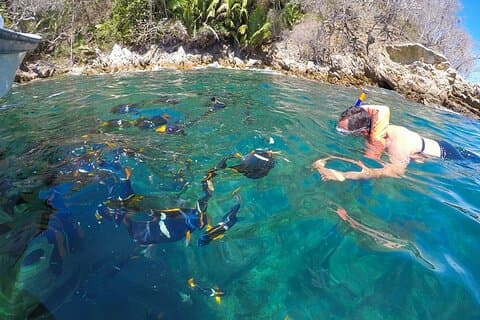 Tour Por la Bahía y Snorkel