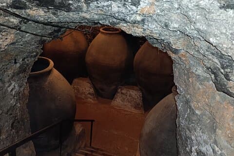 Visite des vins de Madrid avec visite de la cave, Chinchón et déjeuner
