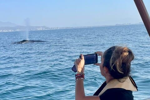 Hoteller i nærheden af Puerto Vallarta