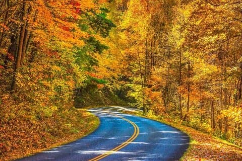 Automne Foliage Tour