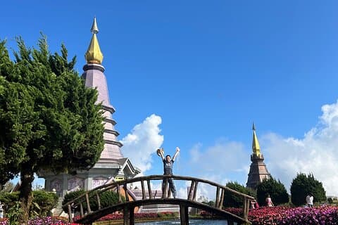 ChiangMai 1DayTour: Elefanthelgedomen, kung och drottningpagoden, vattenfall