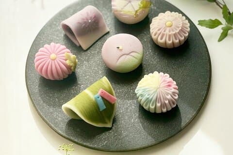 抹茶で日本語菓子「練り切り」体験