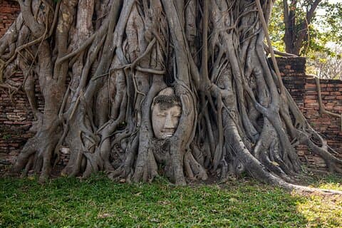 Explore Ancient Ayutthaya Historical Park Day Tour in Bangkok