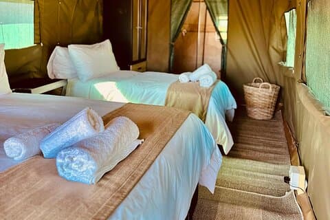 2-dages Pilanesberg Camping Safari fra Johannesburg