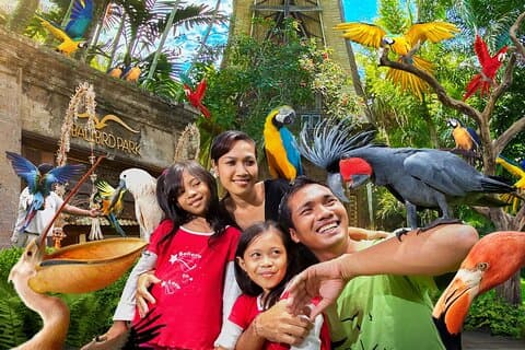 Entrada para o parque de pássaros de Bali