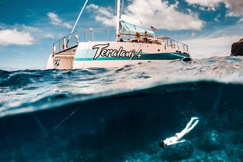 Maui : Kaanapali Beach 5 - uur snorkelen met BBQ Lunch & Open Bar