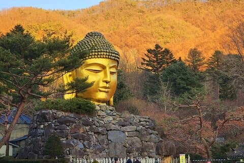 Amazing Gyeonggi Tour