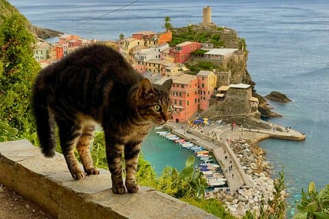 Classic Cinque Terre by Train or Ferry from La Spezia Cruise Port