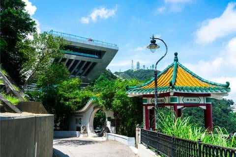 ピークトラムライド＆ティム・ホーワン飲茶付き香港探検ツアー