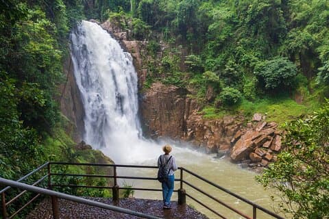Khao Yai: Waterfalls, Deer Spotting & Jungle Walks dagstur