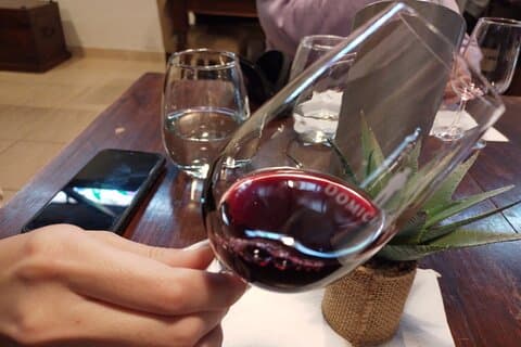 Excursie van 3 bodega's en 1 olivícola met degustación