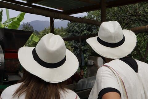 Coffee Farm Tour from Bogotá – Be a Farmer for a Day