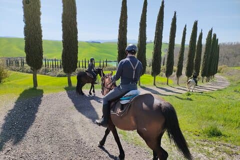 Toscana Horseback Riding Experience i Buonconvento
