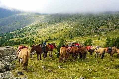 4-Day Horseback Adventure to Khagiin Khar Lake