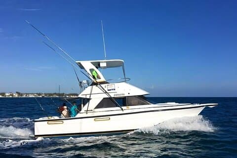 Charter de pesca privado Punta Cana (Alondra)