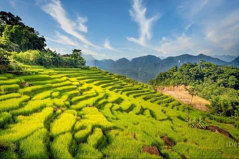 3-Day Northern Vietnam Explorer: Mai Chau, Pu Luong & Ninh Binh