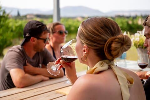 Visita a la bodega de Alcudia con visita a los viñedos y degustación de 5 vinos