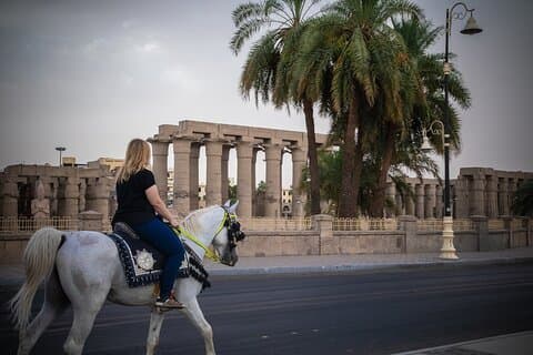 Horse Riding - Explore Luxor East Bank on Horseback