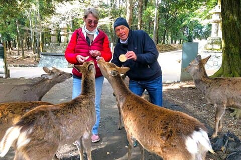 Nara Private Custom Walking Tour