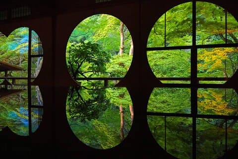 Half Day in Kyoto Arashiyama with Lunch in a Temple Private Tour