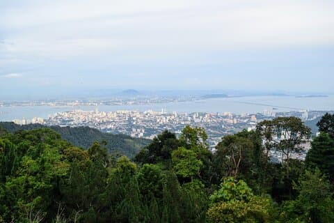 Penang Hill & Pagoda Tour with Food Tasting (Tickets Included)