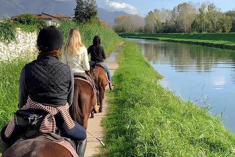 Horseback Riding Experience in Forte dei Marmi