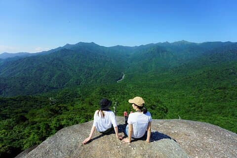 Day Trip to Yakushima by High Speed Jetfoil Toppy from Kagoshima