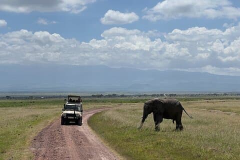3 Days Amboseli Safari Game Drives Under Kilimanjaro Snows