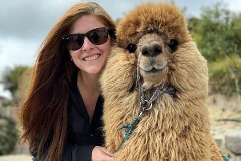 Cotopaxi en Quilotoa volledige dag vanuit Quito allemaal inbegrepen