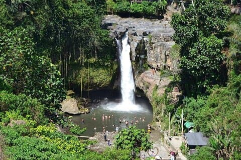 Ubud Full Day Exursion-All Inclusive
