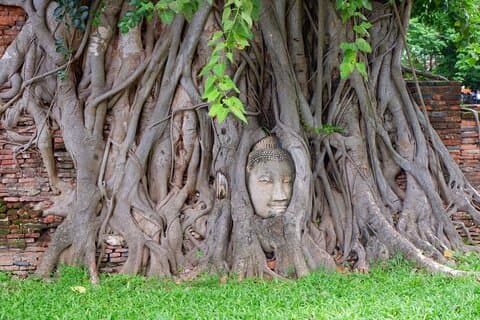 Excursion privée d'une journée au temple antique et au marché flottant d'Ayutthaya