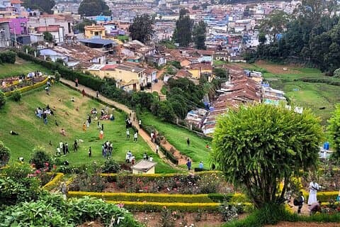 Coimbatore to Ooty Day Trip - Explore A Perfect Hill Station